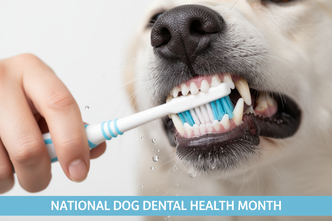 National Pet Dental Health Month